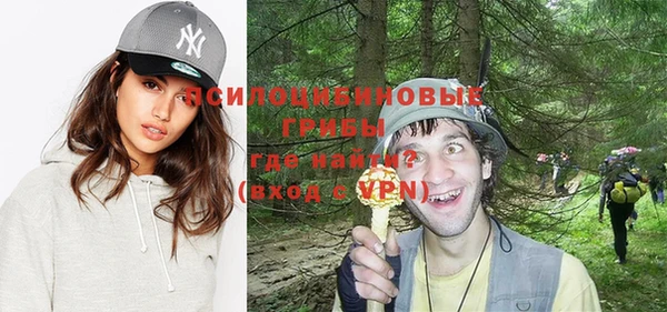 ПСИЛОЦИБИНОВЫЕ ГРИБЫ Алексин