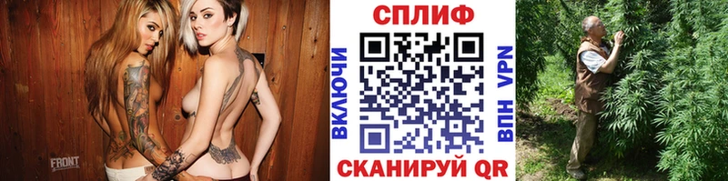 наркота Кувшиново Марихуана планчик